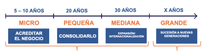 ¿CUÁL SON LAS ETAPAS DE VIDA DE LAS PYMES?